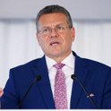 Bruselj pripravlja novo trgovinsko bazuko proti Kitajski poslovni