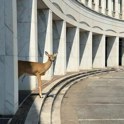 "K umetni inteligenci se zatekamo tudi zaradi lenobe"